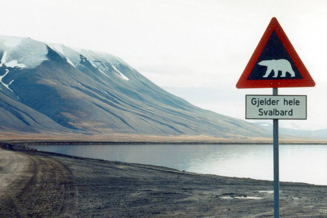 Svaldard