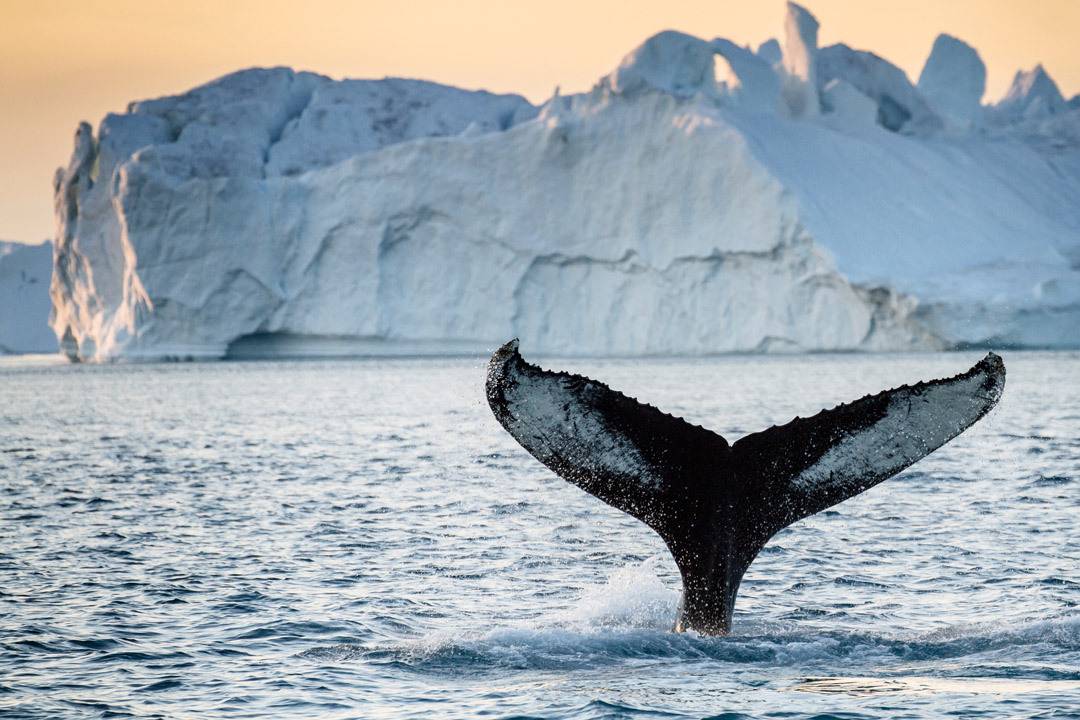 Greenland1 3 2