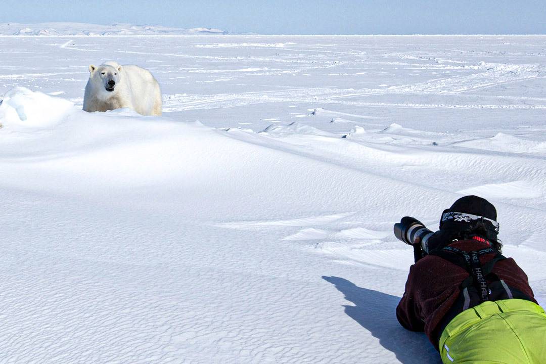 Greenland1