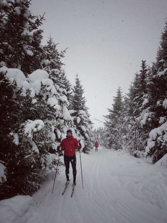 Cross Country Skiing | Snowy adventure