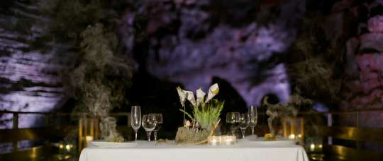 Wild Dining Experience | Private setup